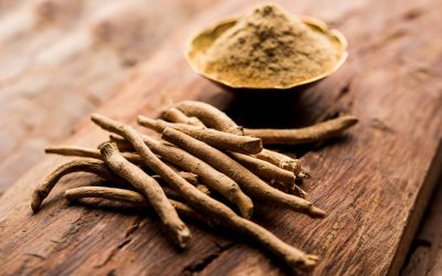 Exploring the Healing Properties of Gingko, Ashwagandha, L-Theanine, Black Pepper, and Cinnamon